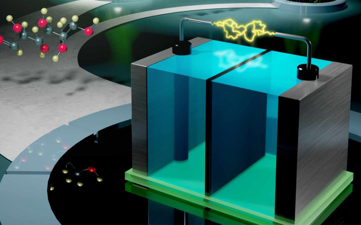 World’s first vitamin B2 and sugar battery mimics how the human body makes energy